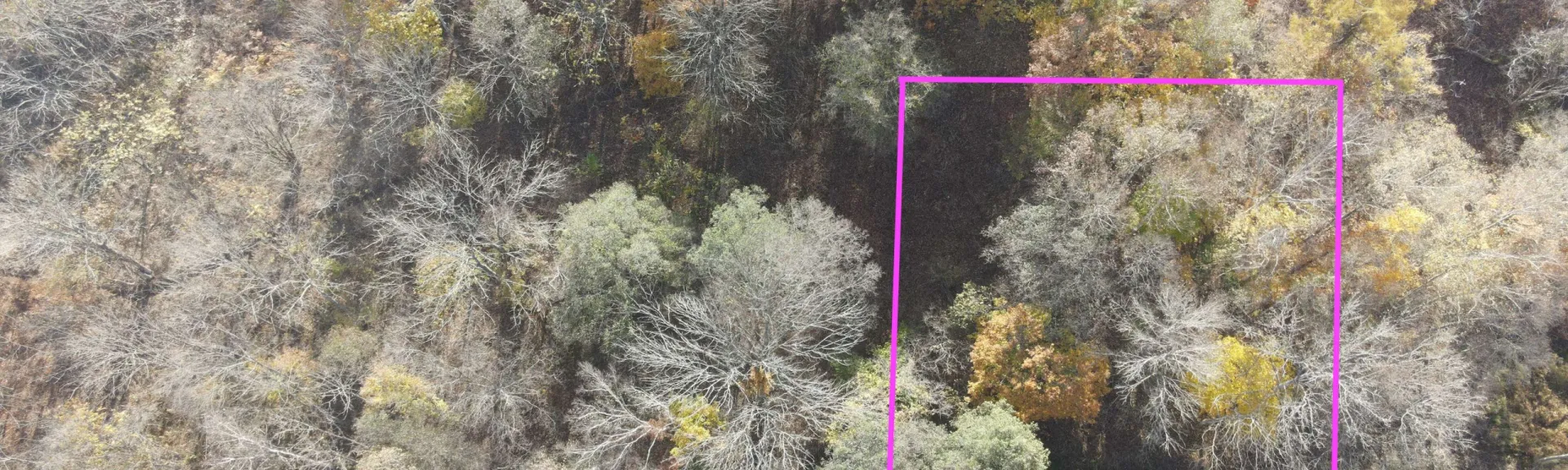 462544185_1655184345410400_7332196739338864246_n